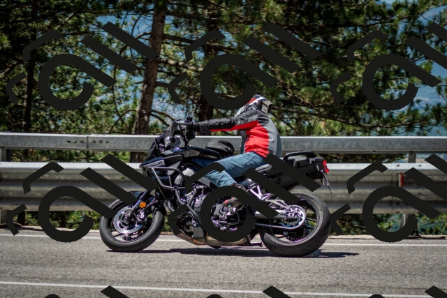 202506291158-DSC_3083_c2