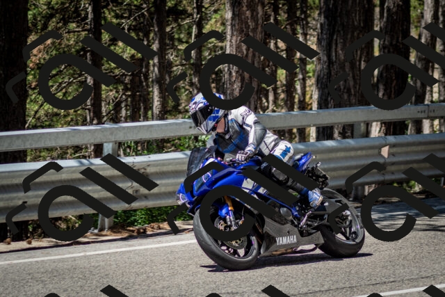 202506291158-DSC_3084_c2