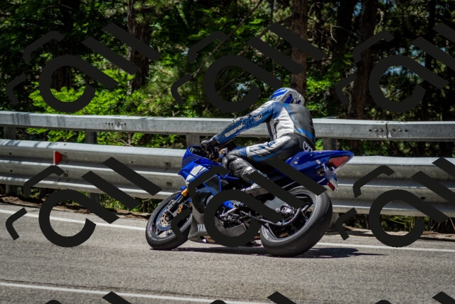 202506291158-DSC_3086_c2