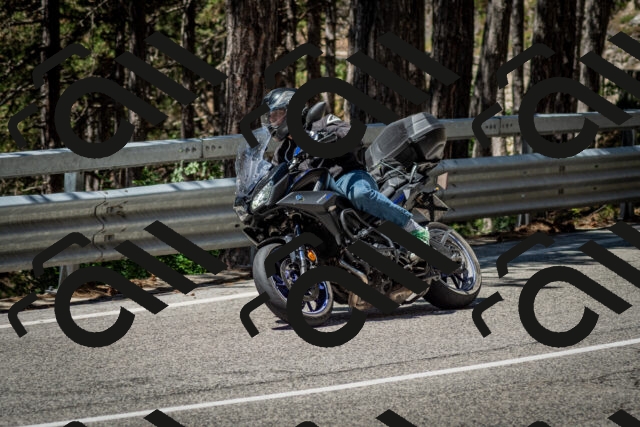 202506291158-DSC_3087_c2