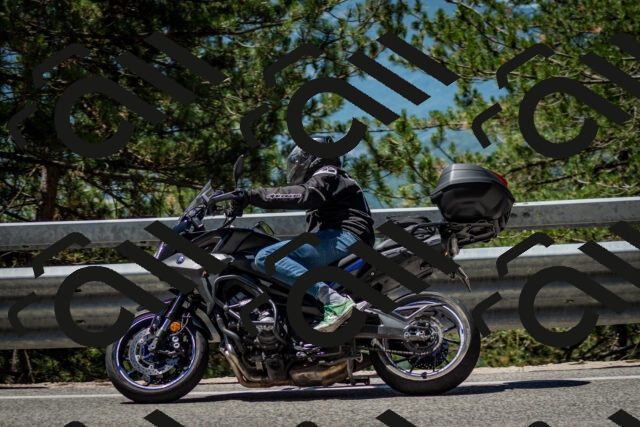 202506291158-DSC_3088_c2