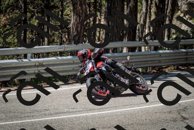 202506291158-DSC_3089_c2