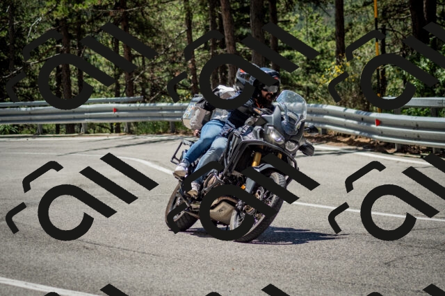 202506291200-DSC_3094_c2