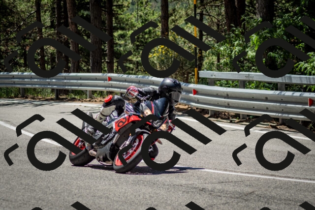 202506291200-DSC_3097_c2