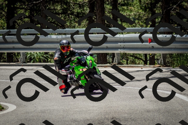 202506291202-DSC_3105_c2