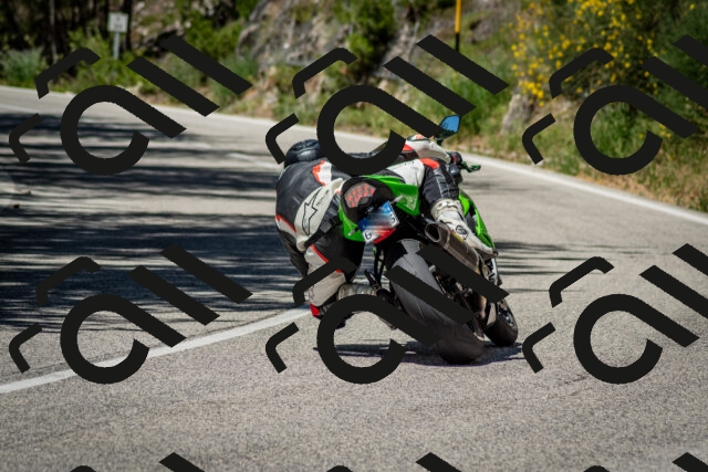 202506291202-DSC_3108_c2