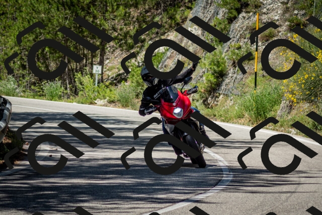 202506291202-DSC_3111_c2