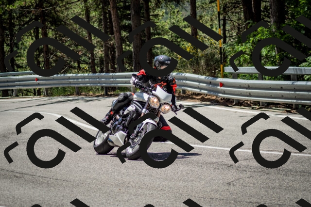 202506291202-DSC_3114_c2