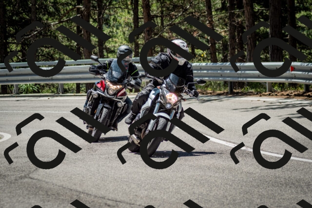 202506291203-DSC_3119_c2