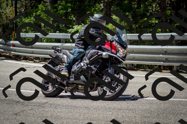 202506291203-DSC_3120_c2