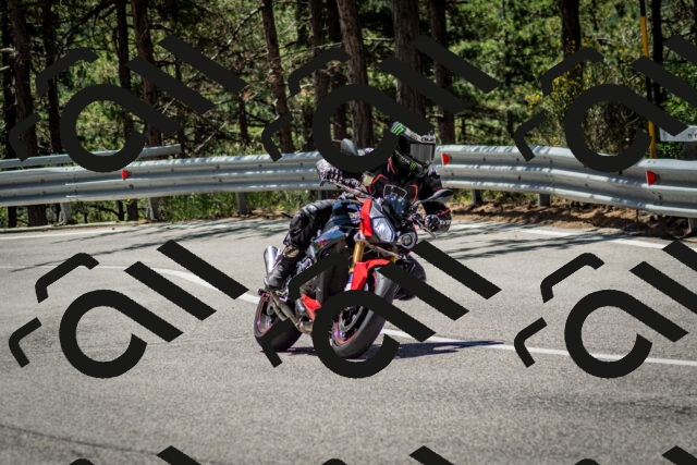 202506291203-DSC_3121_c2