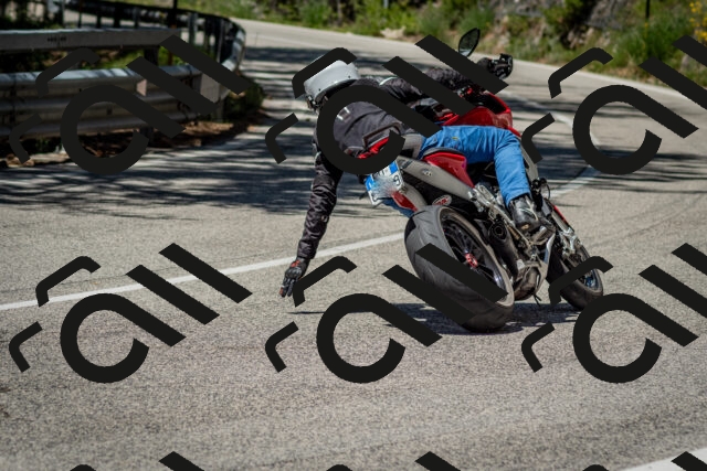 202506291203-DSC_3126_c2