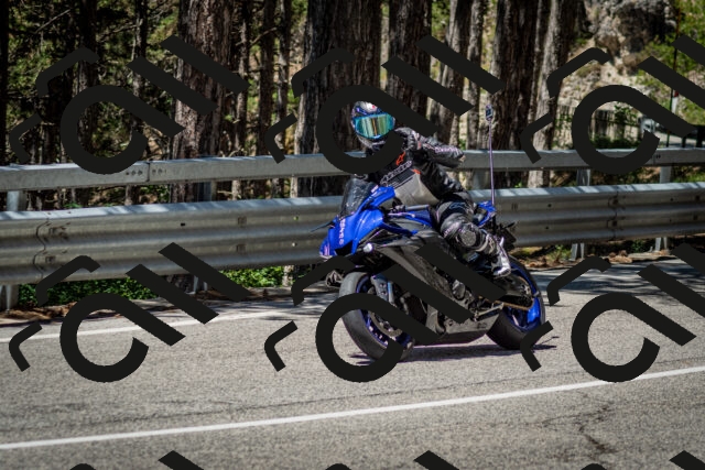 202506291204-DSC_3127_c2