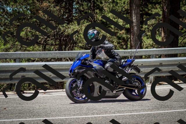 202506291204-DSC_3128_c2