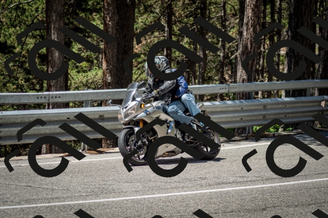 202506291204-DSC_3129_c2