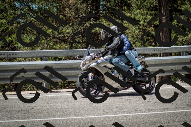 202506291204-DSC_3130_c2