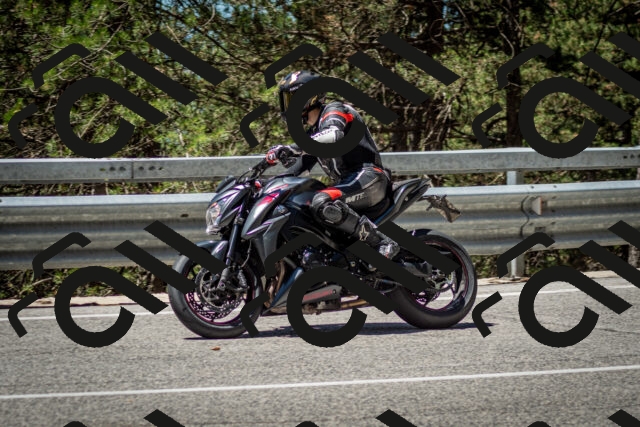 202506291204-DSC_3131_c2