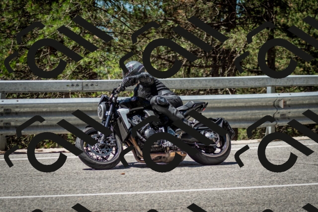 202506291205-DSC_3135_c2