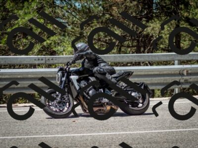 202506291205-DSC_3135_c2