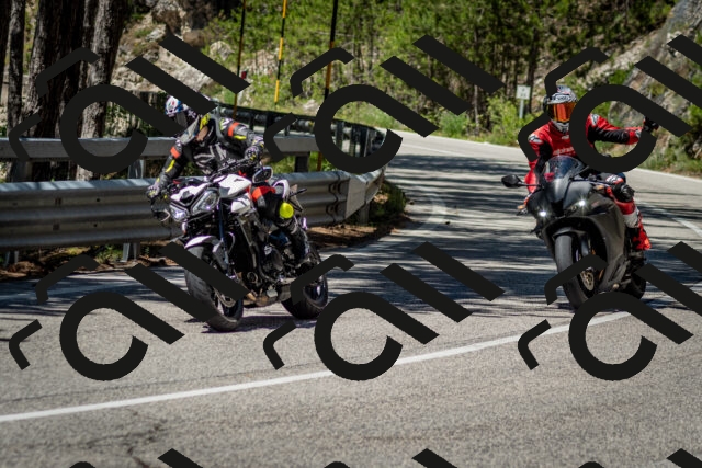 202506291205-DSC_3137_c2