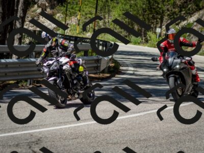 202506291205-DSC_3137_c2