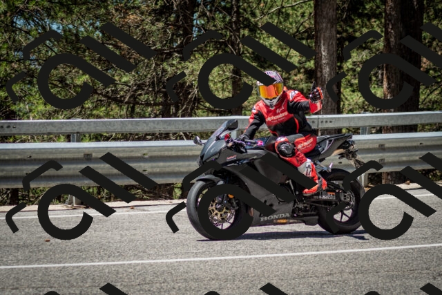 202506291205-DSC_3139_c2