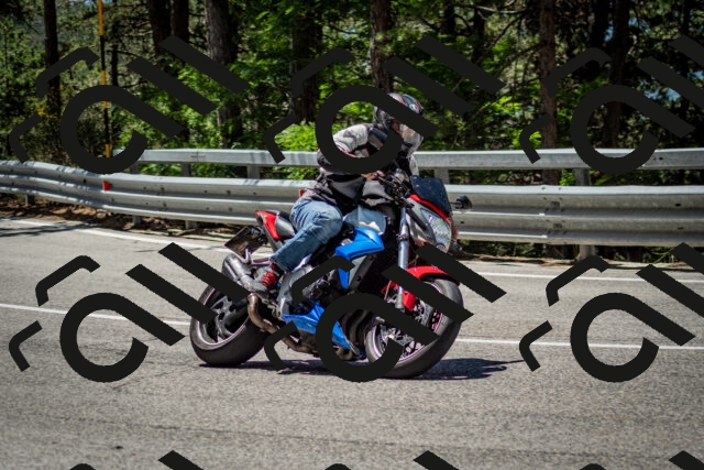 202506291205-DSC_3142_c2