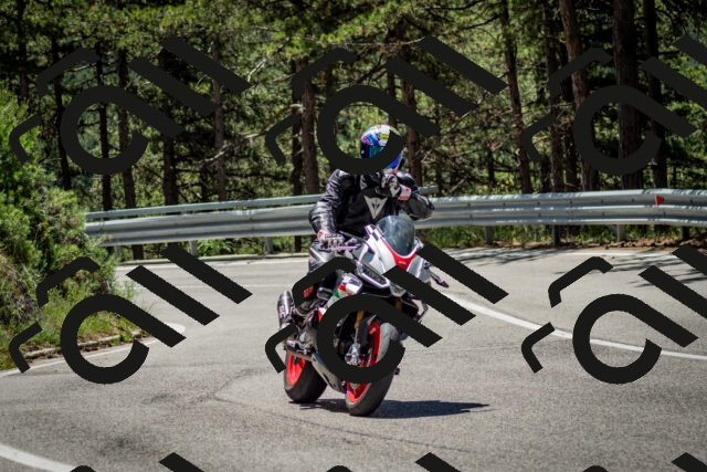 202506291205-DSC_3146_c2