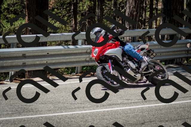 202506291206-DSC_3150_c2