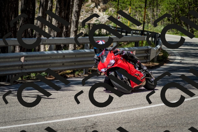 202506291206-DSC_3153_c2