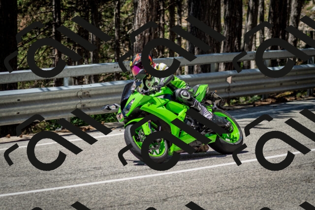 202506291207-DSC_3156_c2