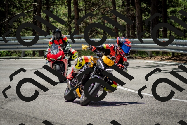 202506291207-DSC_3158_c2