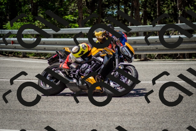 202506291207-DSC_3159_c2