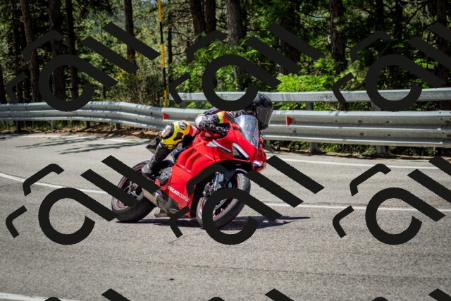 202506291207-DSC_3160_c2