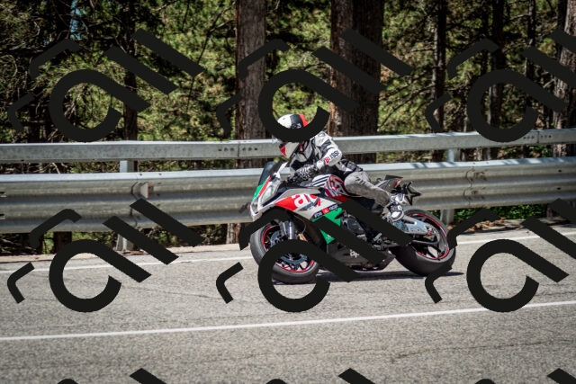 202506291207-DSC_3162_c2