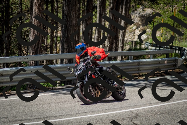 202506291207-DSC_3164_c2