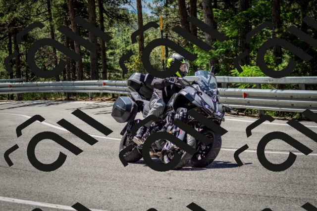 202506291207-DSC_3167_c2