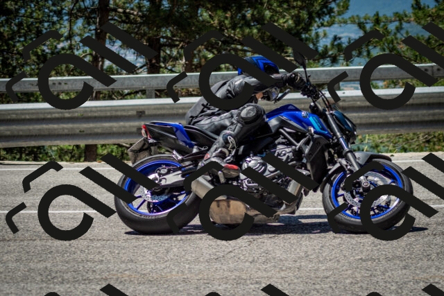 202506291208-DSC_3172_c2