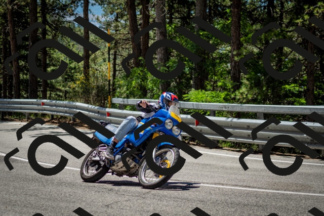 202506291208-DSC_3173_c2