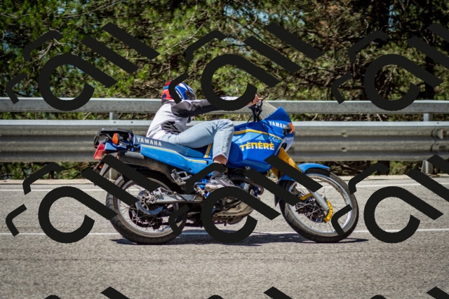 202506291208-DSC_3174_c2