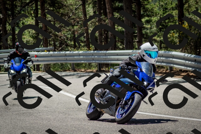 202506291208-DSC_3176_c2