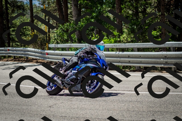 202506291208-DSC_3177_c2