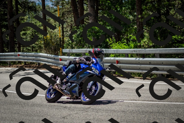 202506291208-DSC_3178_c2