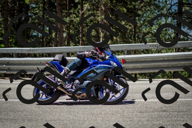 202506291208-DSC_3179_c2