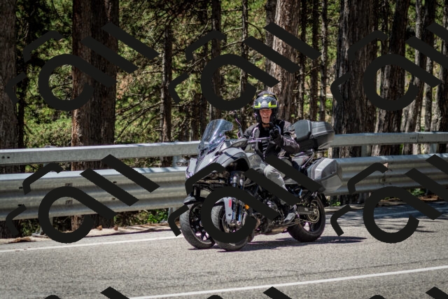 202506291208-DSC_3183_c2