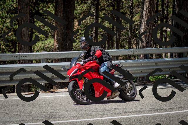 202506291209-DSC_3184_c2