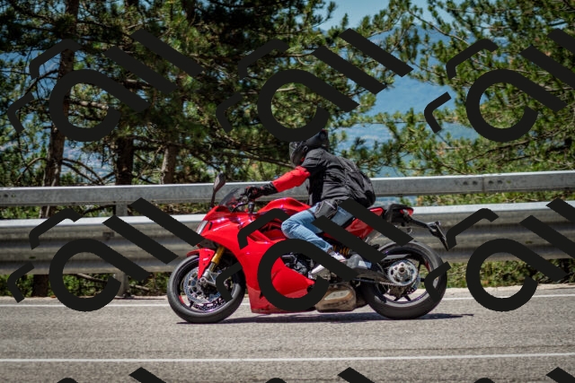 202506291209-DSC_3185_c2