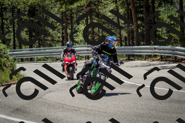 202506291209-DSC_3186_c2