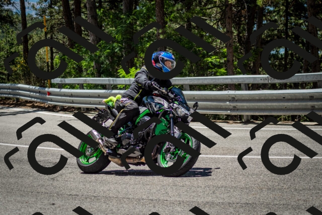 202506291209-DSC_3187_c2