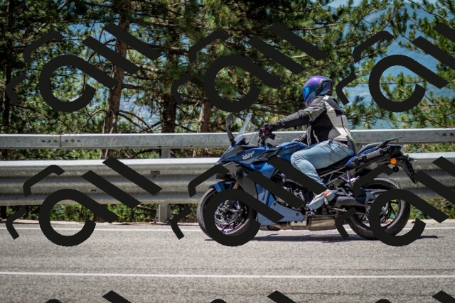 202506291209-DSC_3191_c2